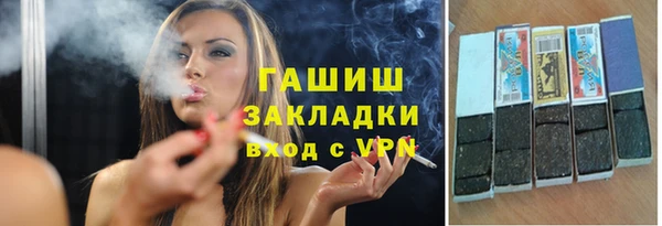 стаф Алзамай
