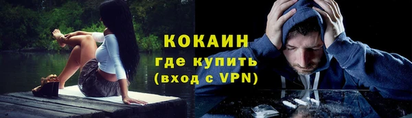 стаф Алзамай