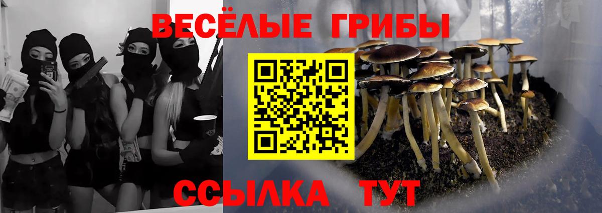 Псилоцибиновые грибы Psilocybe  Вход с VPN  Златоуст 